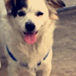 Meet your Posher, Jacky