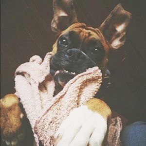 Meet your Posher, Madison