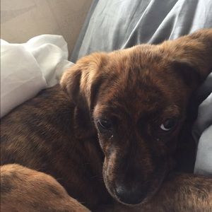 Meet your Posher, Catie