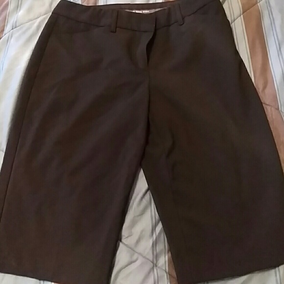 Express Editor Capri Pants