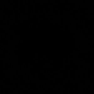 Meet your Posher, Fatima