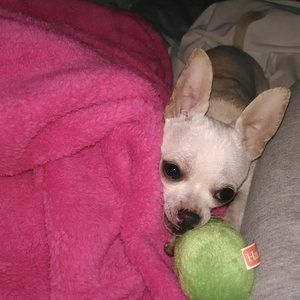 Meet your Posher, Tisha