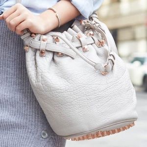 /HOLD FOR CANDACE/ Alexander Wang Diego Bag