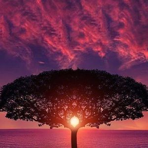 Meet your Posher, Sonia