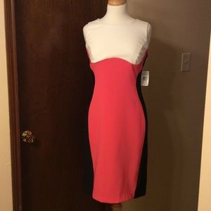 NWT- ivory/Salmon/Black Dress