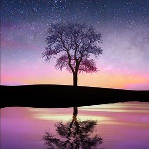 Meet your Posher, Mackenzie