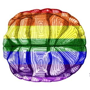 Meet your Posher, Kurt