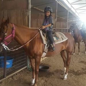 Meet your Posher, Debbie