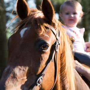 Meet your Posher, Jill