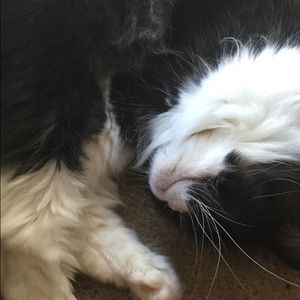 Meet your Posher, Ariana