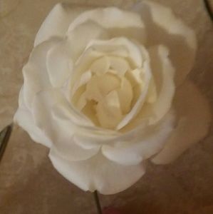 Meet your Posher, Ava