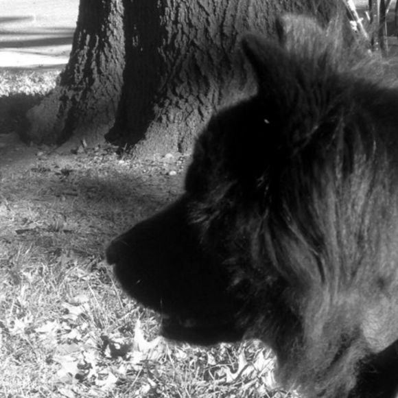 Meet your Posher, Mary jo - Picture 1 of 1