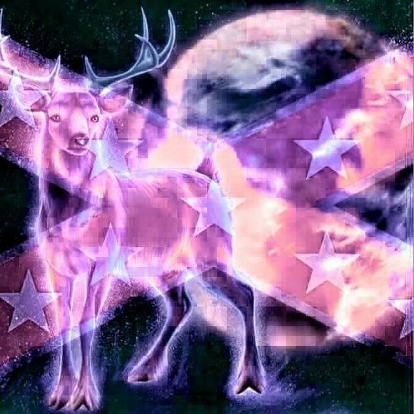 Meet your Posher, Lacy