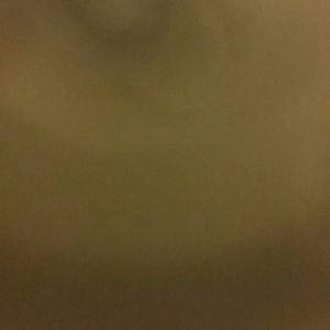 Meet your Posher, Isabel