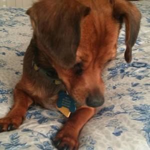 Meet your Posher, Edna