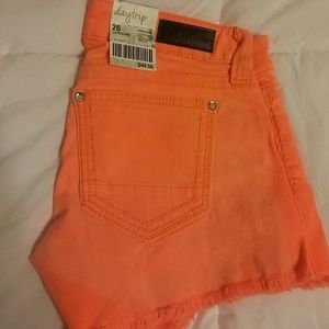NWT daytrip shorts