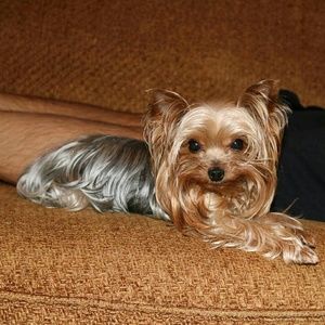 Meet your Posher, Leah