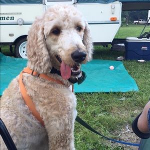 Meet your Posher, Shawna