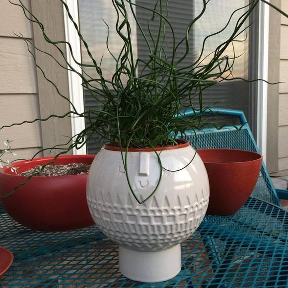 Meet your Posher, Jodi