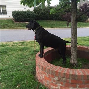 Meet your Posher, Mitzy