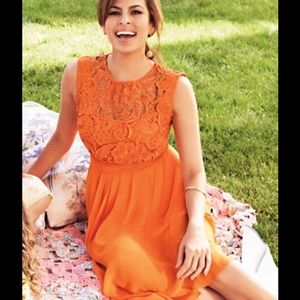 NWT elegant orange dress with lace detail