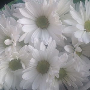 HARRY POTTER WANDS!!