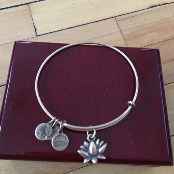 Alex & Ani bangle