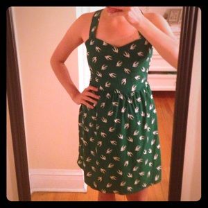 Francesca's dress size medium