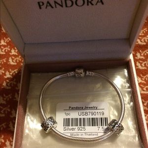 Pandora charm bracelet