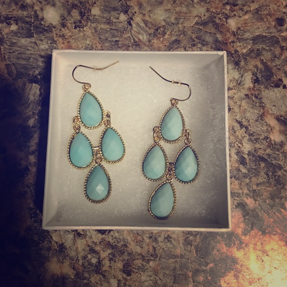 Super pretty turquoise earrings!