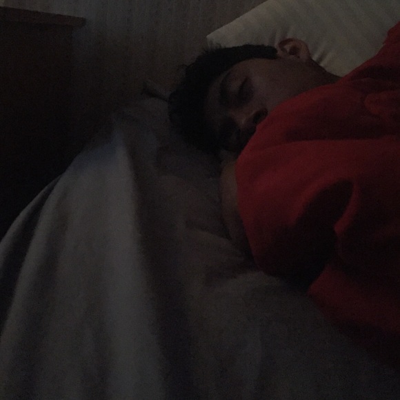 Meet your Posher, Ozzy - Picture 1 of 1