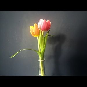 Meet your Posher, Sally