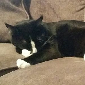 Meet your Posher, Beth