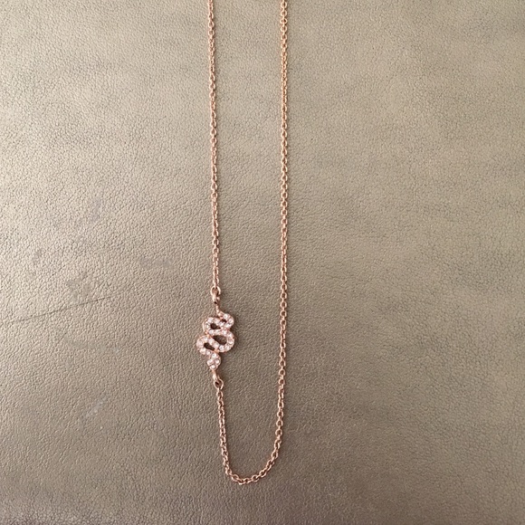 Stella & Dot Sidewinder Necklace