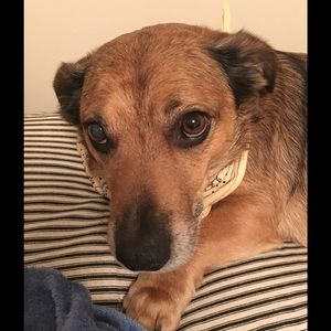 Meet your Posher, Nayeli