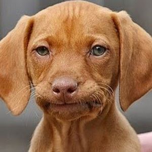 Meet your Posher, Mae