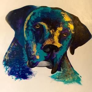 Meet your Posher, Colleen