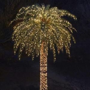 Meet your Posher, Rita