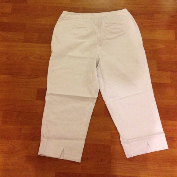 Capris - Picture 2 of 3