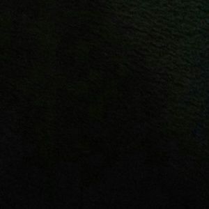 Meet your Posher, Bee