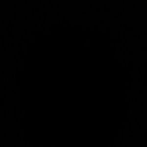 Meet your Posher, Lisette