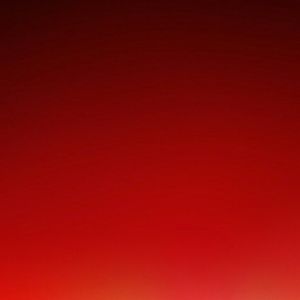 Meet your Posher, Damian