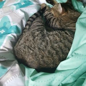 Meet your Posher, Macy