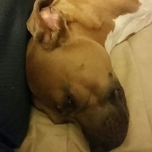 Meet your Posher, Phil