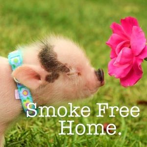 All items come from a smoke free home