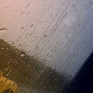 Meet your Posher, Trevor