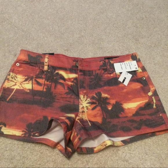 Sunset scene shorts