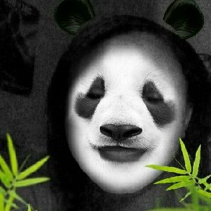 Meet your Posher, Breanne