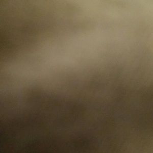 Meet your Posher, Keely