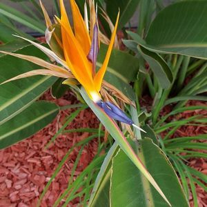 Meet your Posher, Debra